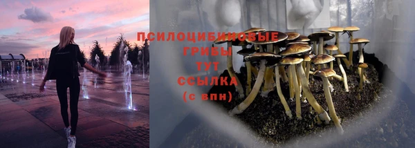 индика Алзамай