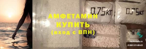 индика Алзамай