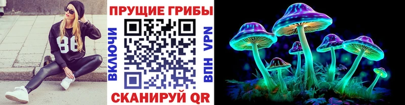 Псилоцибиновые грибы Magic Shrooms  mega как войти  Большой Камень 
